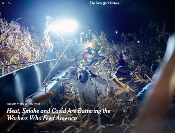 photo of harvesting corn at night